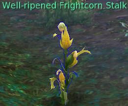 Well-ripened Frightcorn Stalk 