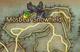 Mosbear Snowfield