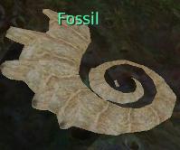 Fossil