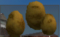 Potatos